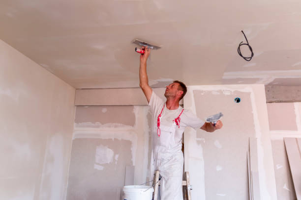 Best Drywall Removal and Disposal  in King Arthur Park, MT